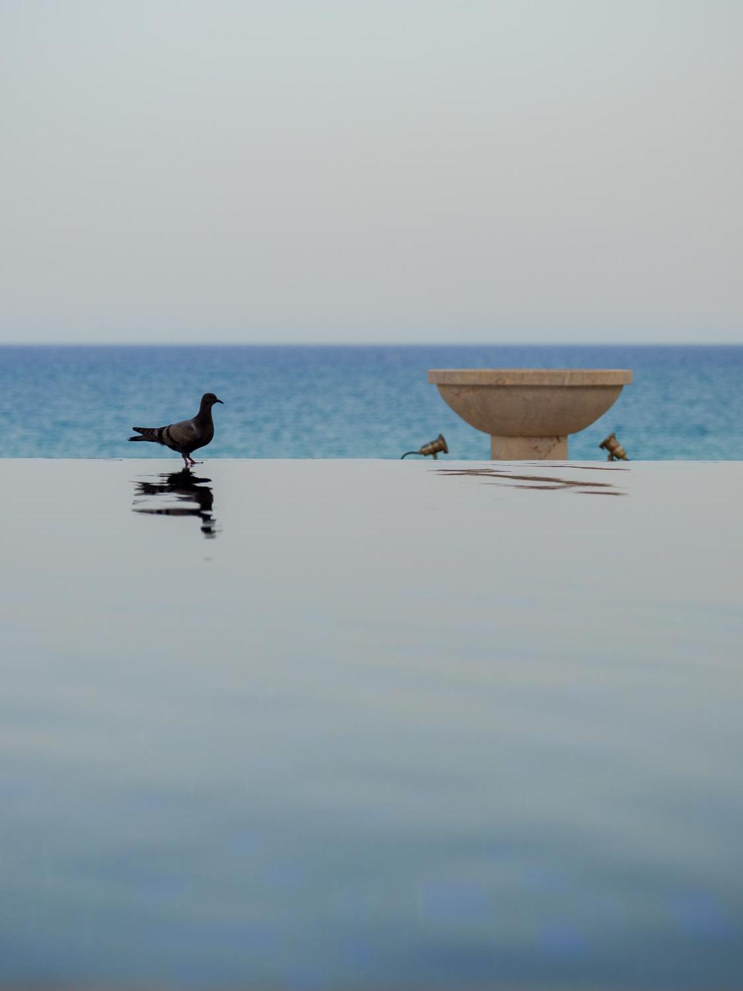 La Badira - Adult Only Hotel ฮัมมาเม็ต ภายนอก รูปภาพ The fountain